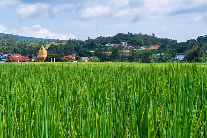 雷府 Loei